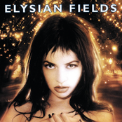 Elysian Fields: Bleed Your Cedar