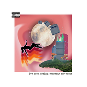 I've Been Crying Everyday For Weeks - EP