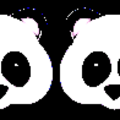 🐼🐼🐼🐼🐼🐼