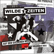 Little Punkrocksong by Wilde Zeiten