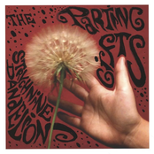 Strychnine Dandelion