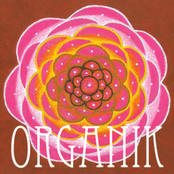 Organik: Organik