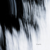 Looking Through A Prism