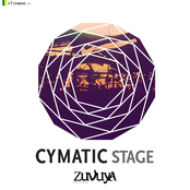 Cymatic Stage # 3