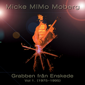 Grabben från Enskede. Vol 1. (1975-1995)