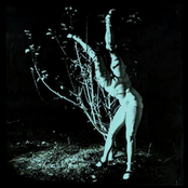 Les Catacombes Mortes