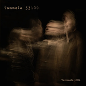 Tammela yöllä