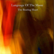 The Beating Heart