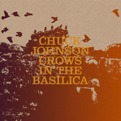 Chuck Johnson: Crows In The Basilica