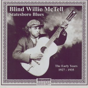 It's Your Time To Worry by Blind Willie Mctell
