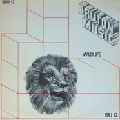 Wildlife