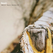 Beak: Amoral Mayor Earwig EP