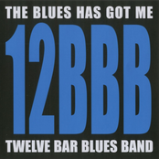 The Blues Has Got Me