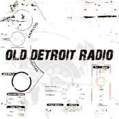 analog light international