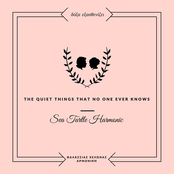 The Quiet Things No One Ever Knows