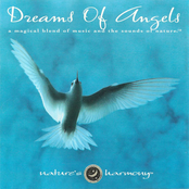 Dreams Of Angels
