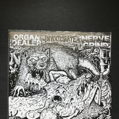 Organ Dealer/ Nerve Grind/ Invertebrate
