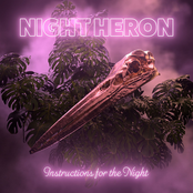 Night Heron: Instructions for the Night