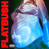 Flatbush ZOMBiES - Afterlife