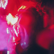 salitre/mansdesangre