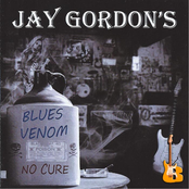 jay gordon and blues venom