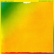 In Flagrante Delicto