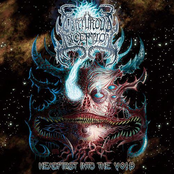 Headfirst Into the Void