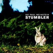 The Stumbler by Avi Paul Weinstein