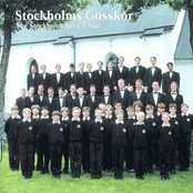 Stockholms Gosskör