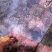 bulldog eyes/your bruise