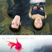 We Are Now Growing Fast