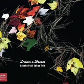 Satoko Fujii Tokyo Trio: Dream a Dream