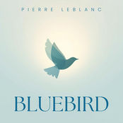 Bluebird
