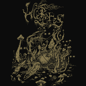 Shiftless Wanderings