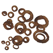 Onionrings