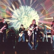 hawkwind zoo