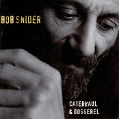 Darn Folksinger by Bob Snider