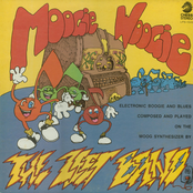 Moogie Boogie by The Zeet Band