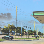 1969/•/2019/•/ ／／ DMT-008