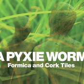 a pyxie worm