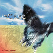 Jeff Sipe: Timeless