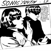 Sonic Youth: Goo