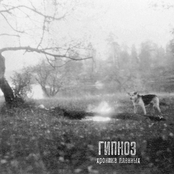 Хроника пленных