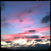 Wandering Hopelessly