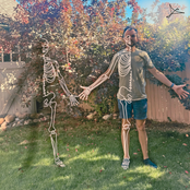 Bones