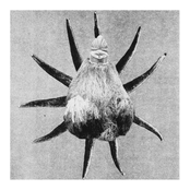 Badge with Sun with Human Face