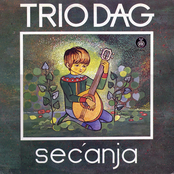 Secanja