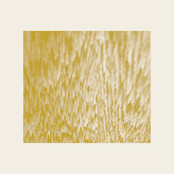 The Fluidity Of Time Does Not Exist