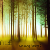 Glowing Forest 2
