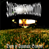 Diary of Traumatic Seasons